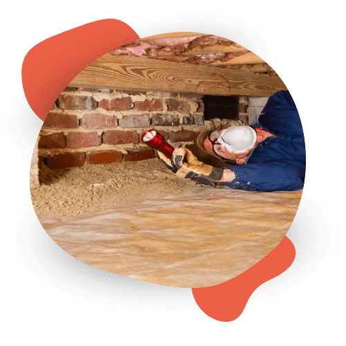 POURQUOI FAIRE UN DIAGNOSTIC TERMITES